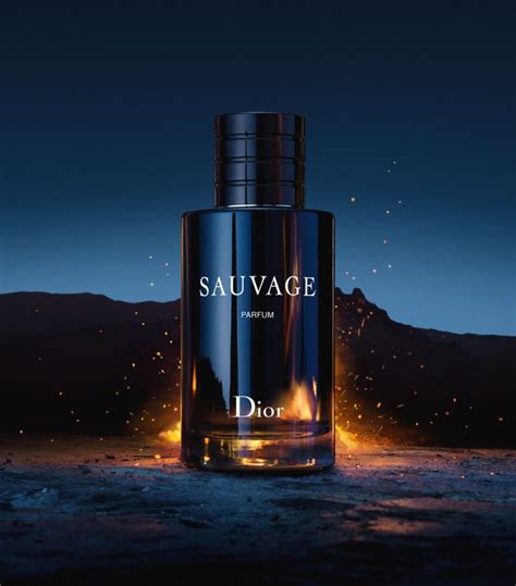 dupe for dior sauvage|fragrances like dior sauvage.